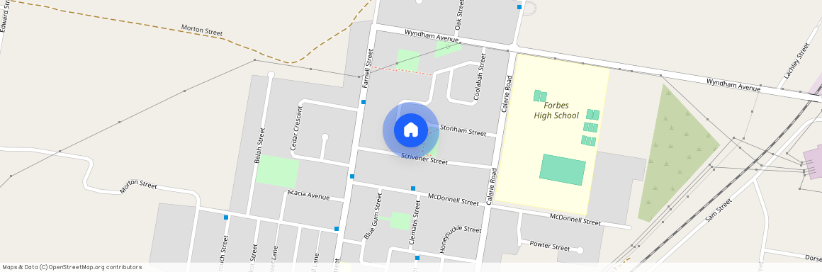 32 Jacaranda Street, NSW 2871, Forbes