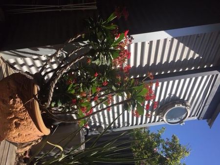 Scarborough - Photo 3