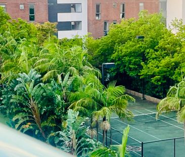 Erskineville - Photo 2