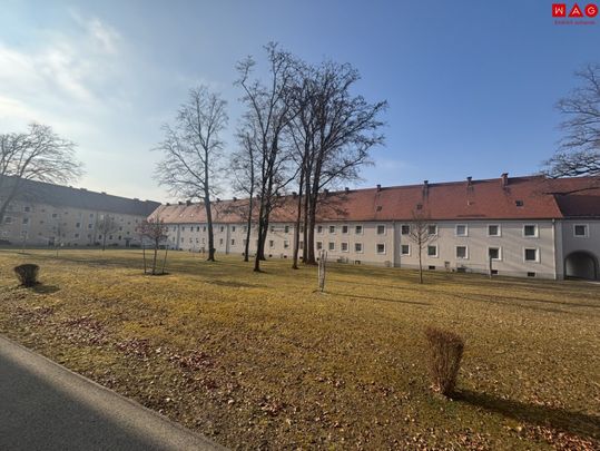 Einziehen und Wohlfühlen: neuwertig sanierte Traumwohnung in zentraler und dennoch ruhiger Lage! Genießen Sie das Leben in Steyr Münichholz in vollen Zügen! Ab sofort und provisionsfrei beziehbar! - Photo 1