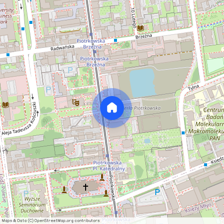 Piotrkowska 256 A, Centrum, Śródmieście, Łódź, łódzkie