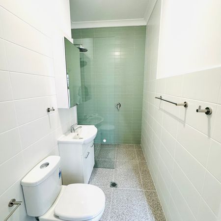 136A Edward Street, Orange NSW 2800 - Apartment For Rent | Domain - Photo 4