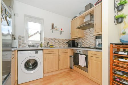 Whitney Street - Photo 4