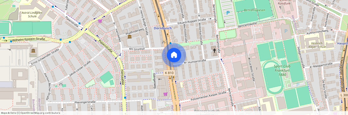 60320 Frankfurt am Main - Westend