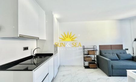 1 BEDROOM HOLIDAY APARTMENT - TORREVIEJA - Photo 4