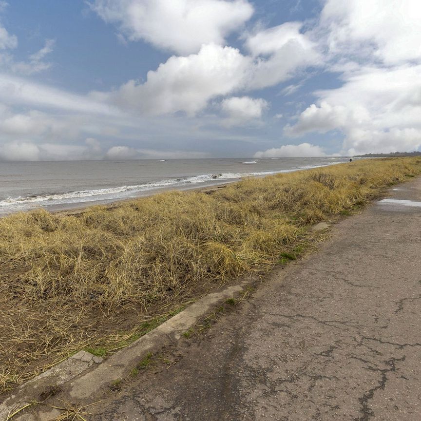 6D Beach Lane - Photo 1