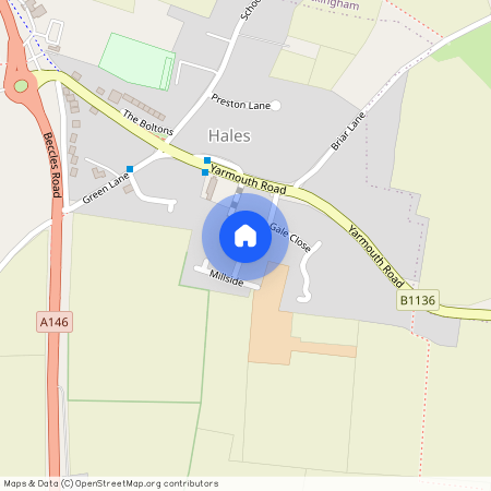 Millside, Norwich, Hales