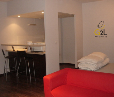 Location Appartement 1 pièce 38m² - Photo 2