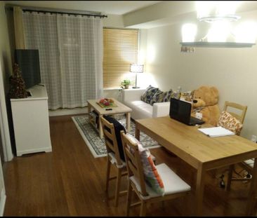 For Lease - 270 Wellington Street Unit# 315/B, Toronto, Ontario - Photo 6