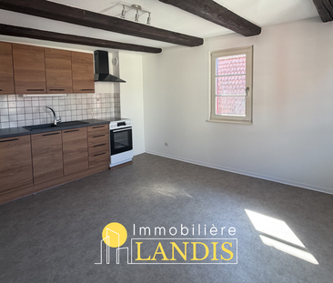 Location Appartement 2 pièces 48m² SELESTAT 67600 - Photo 1