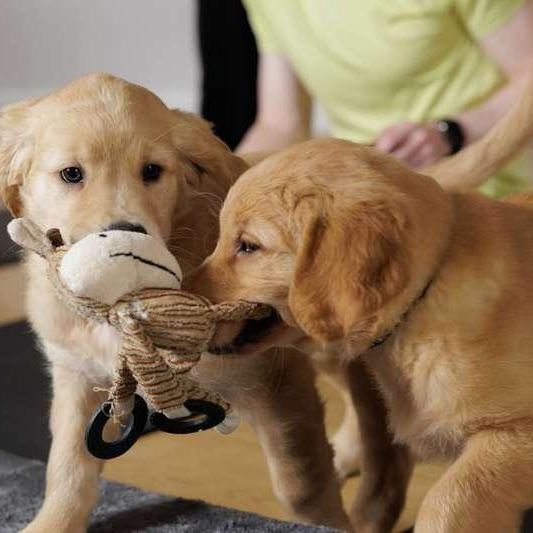 Harrison Building, Stratford, E20 - Photo 1