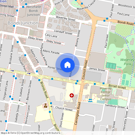 23 Botany Street, NSW 2022, Bondi Junction