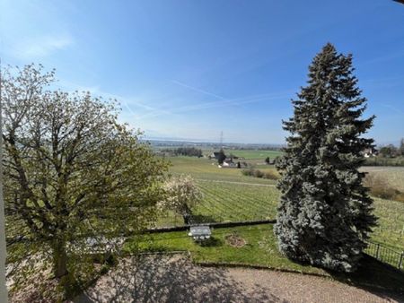 Au coeur du vignoble, bel appartement renové de 3 pièces - Photo 4