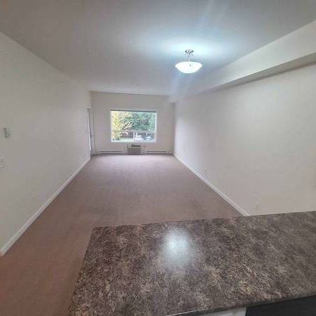 1 Bedroom Large, Bright, Clean Condo - Photo 1