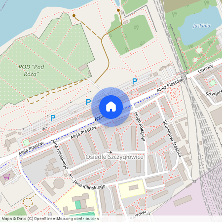 ul. Aleja Piastów, Knurów, gliwicki, śląskie