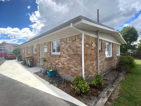 Hot on Howell - Riverlea - Photo 1