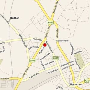 Weidenstr. 17, 45701 Herten OT Bertlich - Foto 3