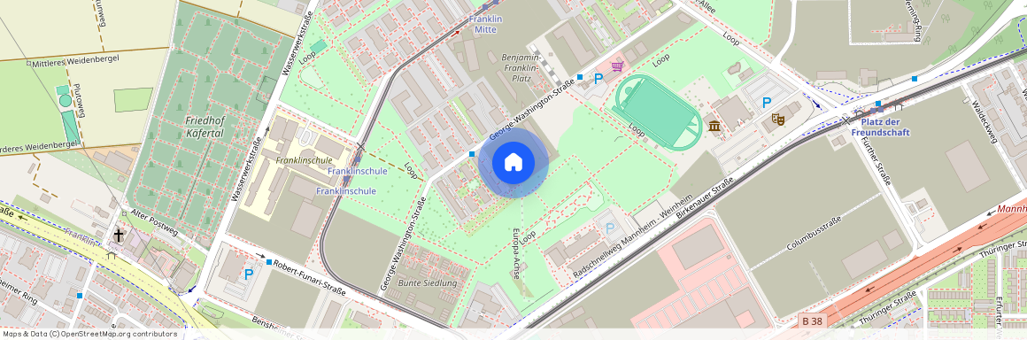 Franklin, Baden-Württemberg, George-Washington-Str. 172a, 68309, Mannheim