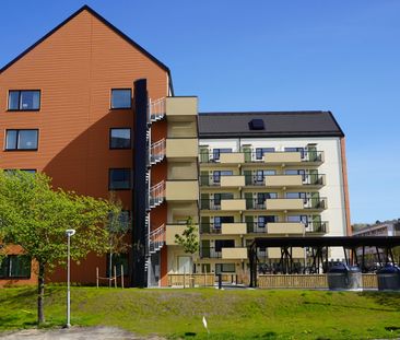 Kobbeslätten 4 - Photo 4