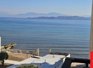 Studio/Γκαρσονιέρα για ενοικίαση - Άσσος-Λεχαίο, - Φωτογραφία 5