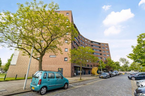 Te huur: Appartement Til Brugmanplantsoen in Den Haag - Foto 1
