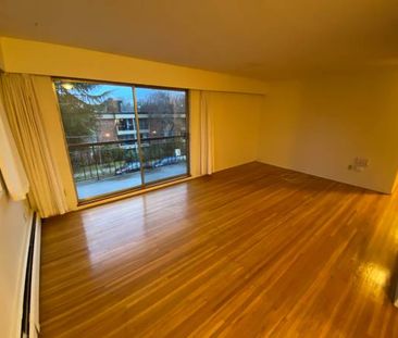 Beautiful 1 Bedroom Apartment - Photo 1