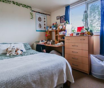 48 Harrow Road - Photo 3