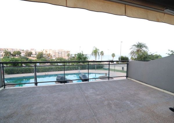 Mil Palmeras Alquiler Hasta Agosto