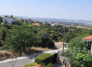 Μεζονέτα για ενοικίαση - Πανόραμα, - Photo 5