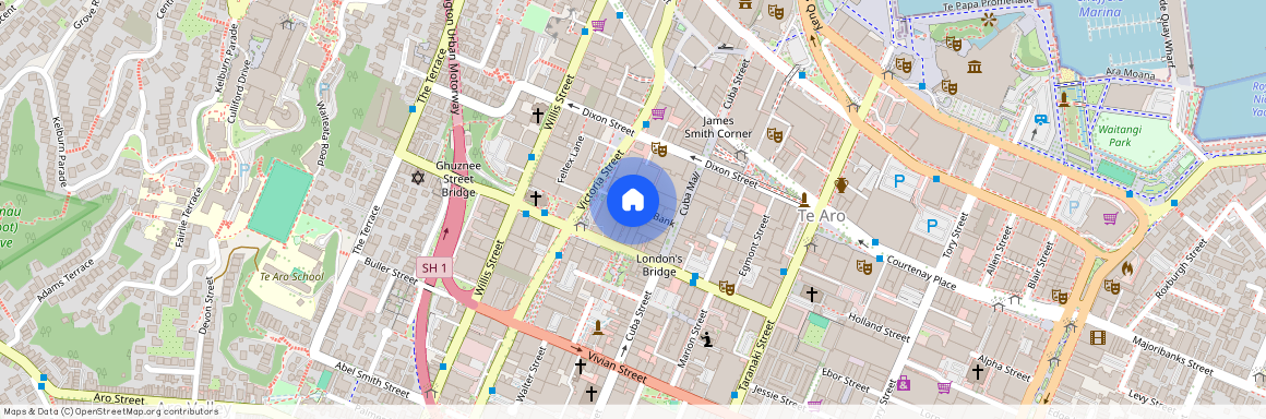 254/21 Left Bank, Te Aro, Wellington City