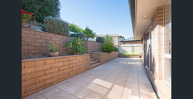 [Available to Rent] - Photo 1