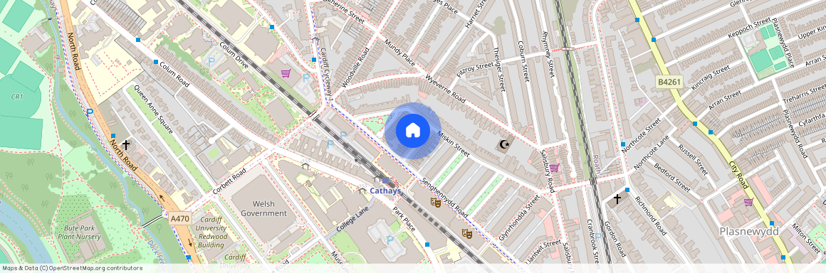 Llandough Street, CF24 4AW, Cathays