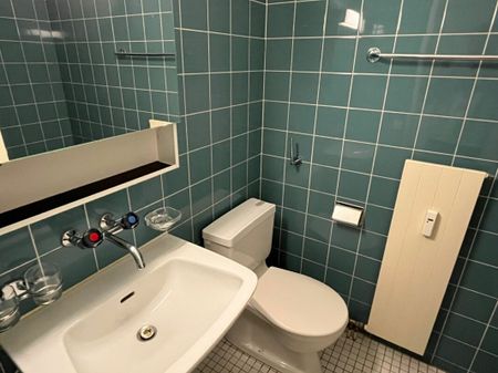 1 Zimmer-Wohnung an ruhiger Lage - Photo 5