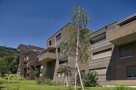 Moderne 3.5-Zimmer-Wohnung am Jurasüdfuss - Foto 3