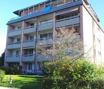 1.5 Zimmer, 1. Stock - Photo 4