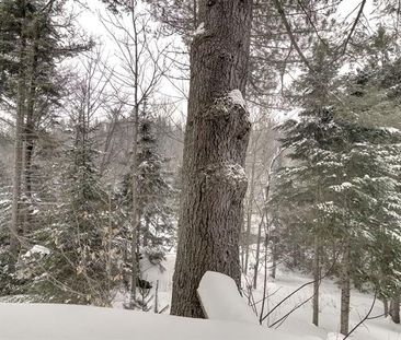 2949 Ch. de Val Royal - Photo 5