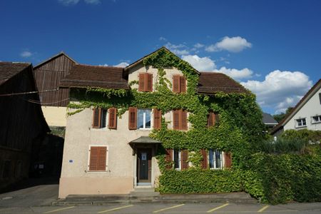 Furnished single room in Unterlunkhofen - Photo 5