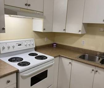 1-Bedroom, 1 Bathroom Basement Suite(Fraser & 52nd) - Photo 1