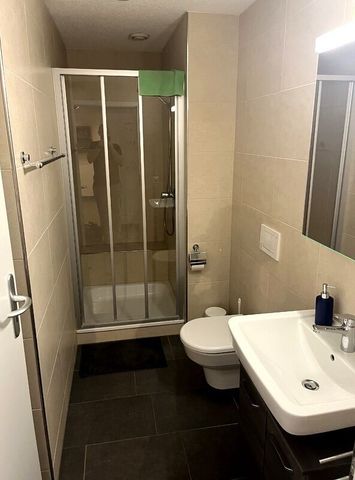 41/2-ROOM APARTMENT IN ZOFINGEN (AG), FURNISHED, TEMPORARY - Photo 3