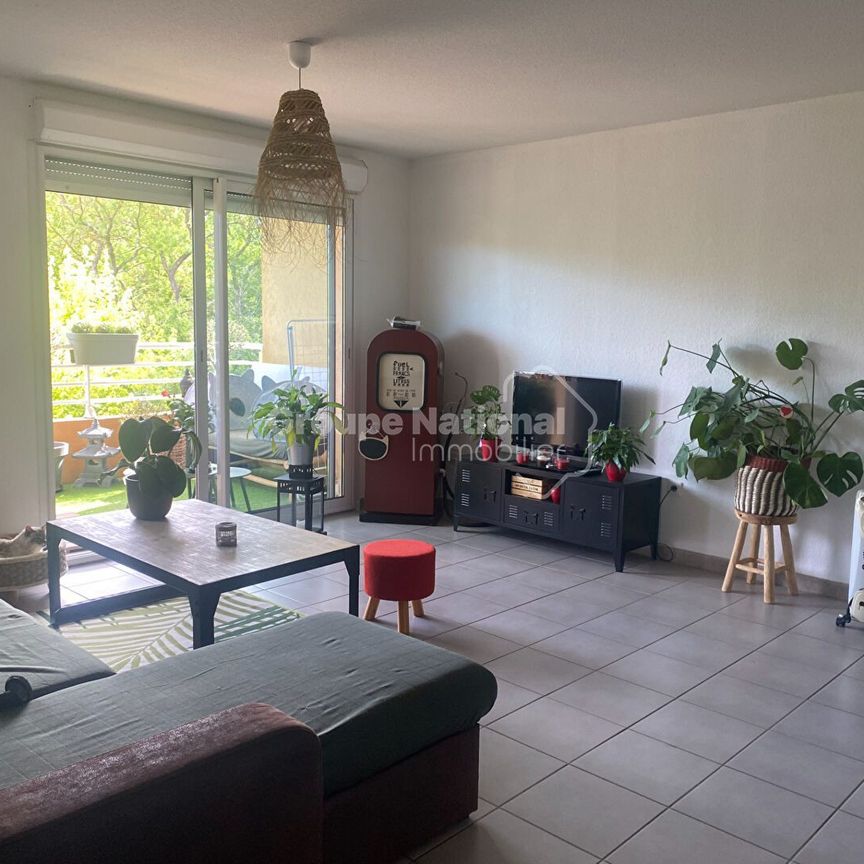Location Appartement 3 pièces 56m² VIDAUBAN 83550 - Photo 1