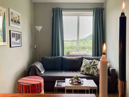 Hundestedsvägen, Båstad - Foto 2