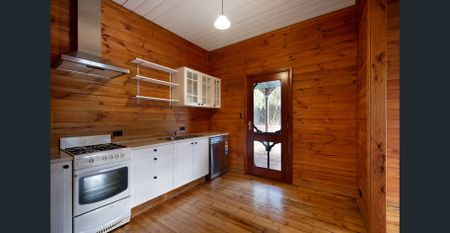 Small in Size, Big on Character - Photo 4