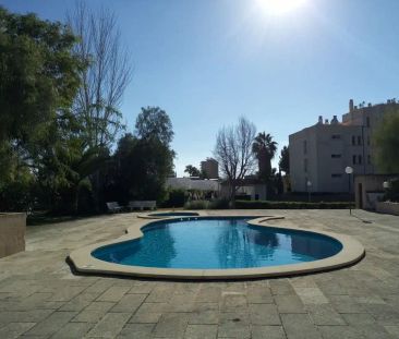 Calvià - Photo 6