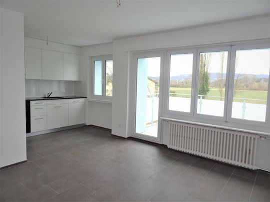 Rent a 2 ½ rooms apartment in Schlieren - Photo 1