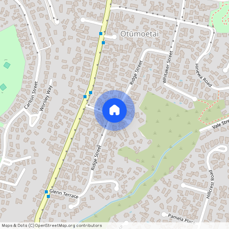 Ridge Street, Otumoetai