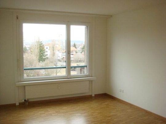 2.5-room apartment in Brunaupark - Foto 1