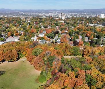 Grand 4 1/2 récent à Sillery *LIBRE IMMÉDIATEMENT* - Photo 1