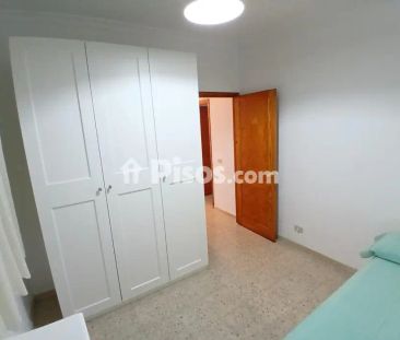 Piso en alquiler en Calle Nestor De La Torre - Photo 3