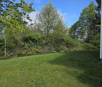ONE MONTH FREE newer renovated units walking distance to everything !! - Photo 4