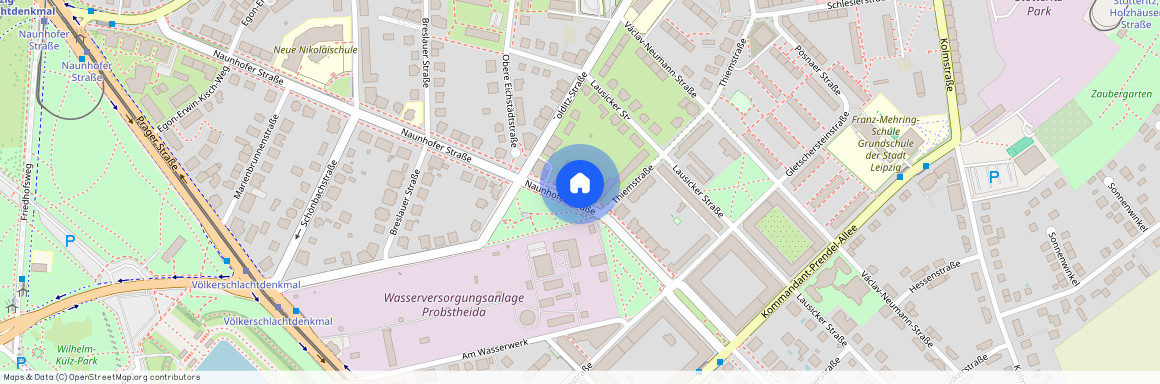 Naunhofer Straße 49, 04299 Leipzig - Probstheida